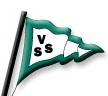 Vikingarnas SM-sida